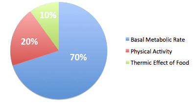 Calorie Calculator: Determine Daily Caloric Intake